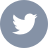 twitter icon